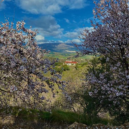 Almogía El Sueno, Cortijo Andalusi Del Siglo XIXヴィラ エクステリア 写真