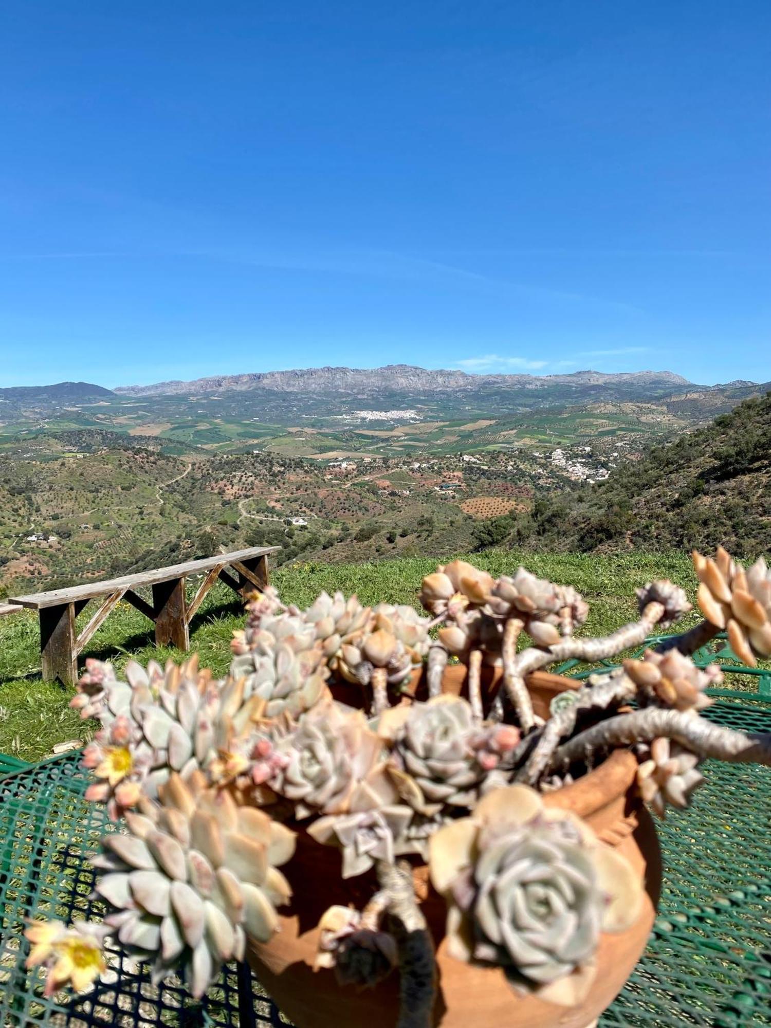 Almogía El Sueno, Cortijo Andalusi Del Siglo XIXヴィラ エクステリア 写真